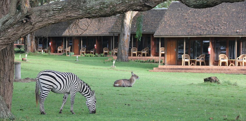Naivasha Country Club und Kiboko Camp, Lake Naivasha