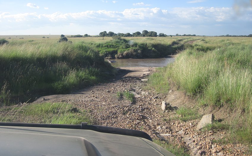 Double Crossing, Masai Mara