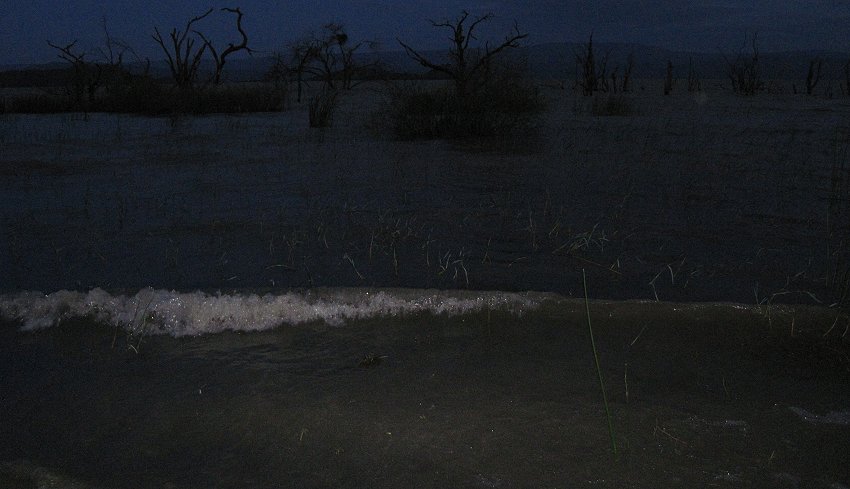 Roberts Camp, Lake Baringo