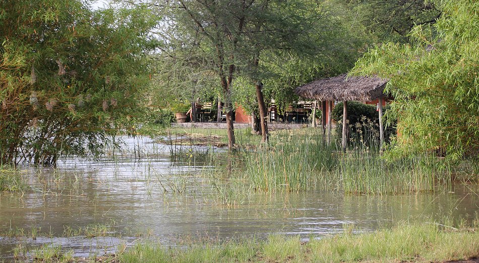 Roberts Camp am Lake Baringo 2020