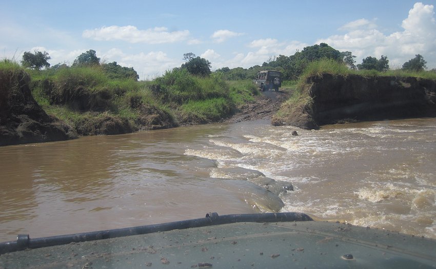 Smelling Crossing, Masai Mara