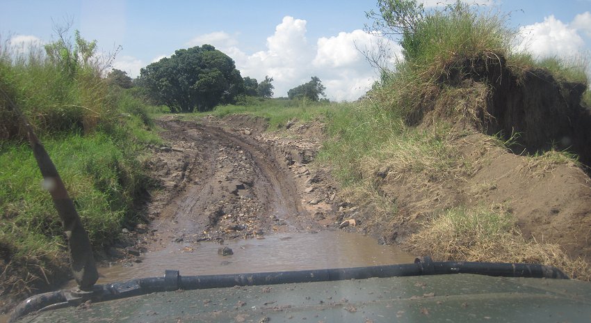 Smelling Crossing, Masai Mara