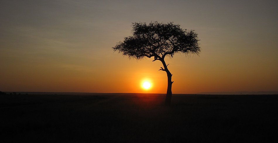 Sonnenaufgang Masai Mara