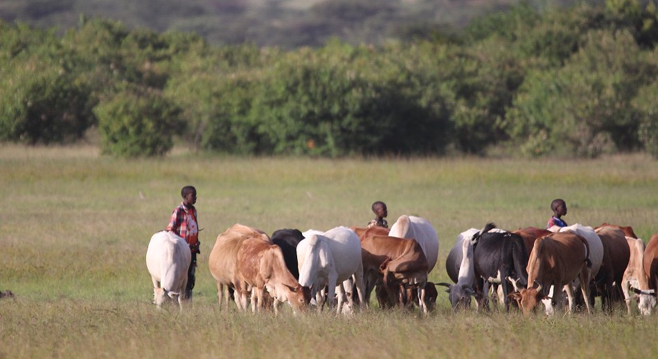Talek Masai Hirten Jungs