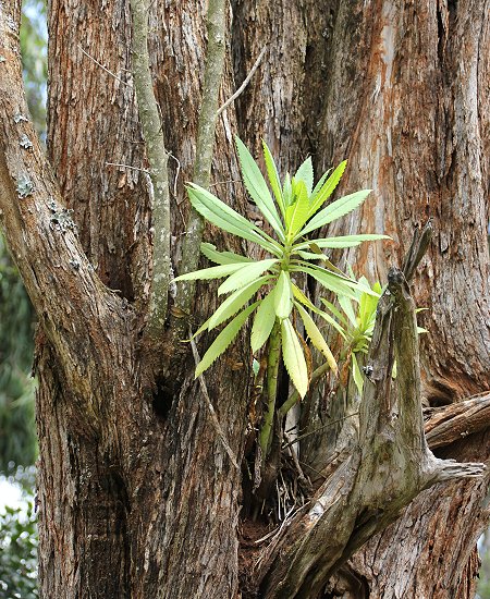 Thomson Falls Lodge, Nyahururu