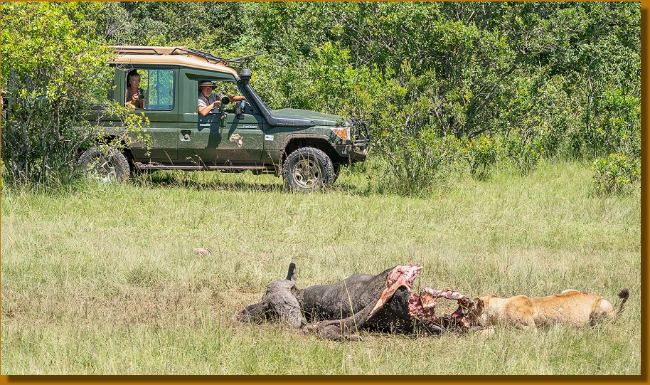 Wenn die Trockenzeit ins Wasser fällt oder die letzte Safari vor Corona (Corvid 19)