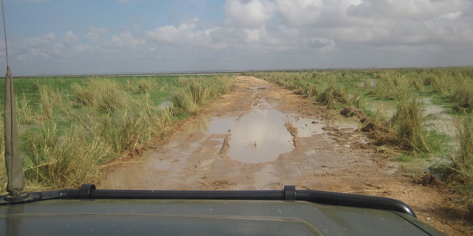 Amboseli Park