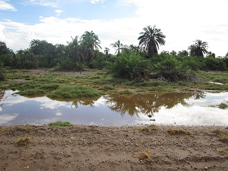 im Amboseli Park