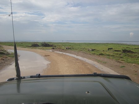 im Amboseli Park
