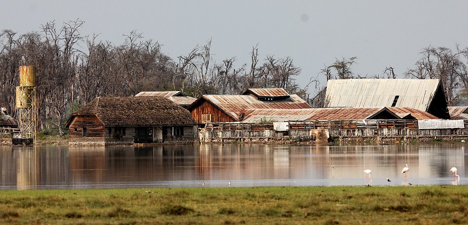 Amboseli Lodge November 2020