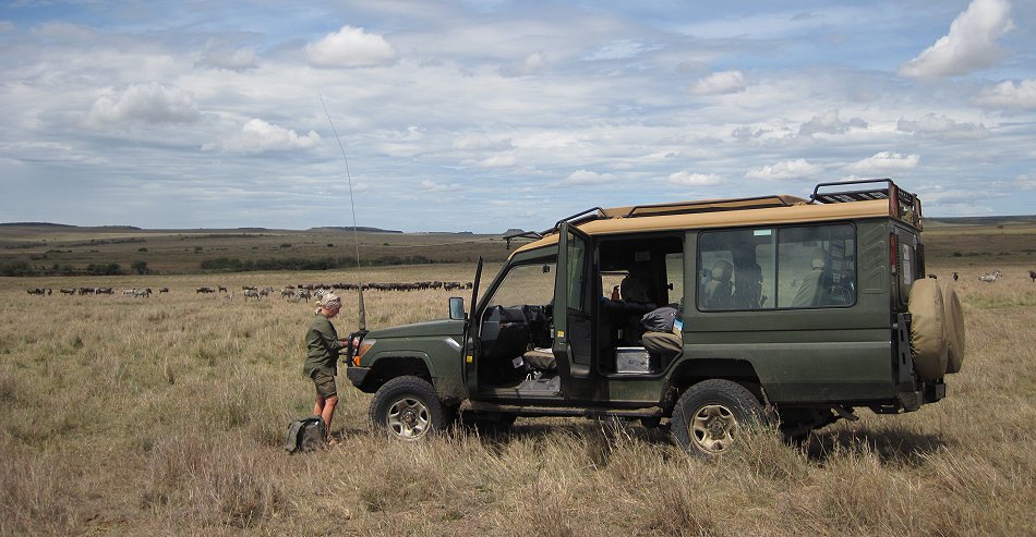 Buschfrühstück in der Masai Mara