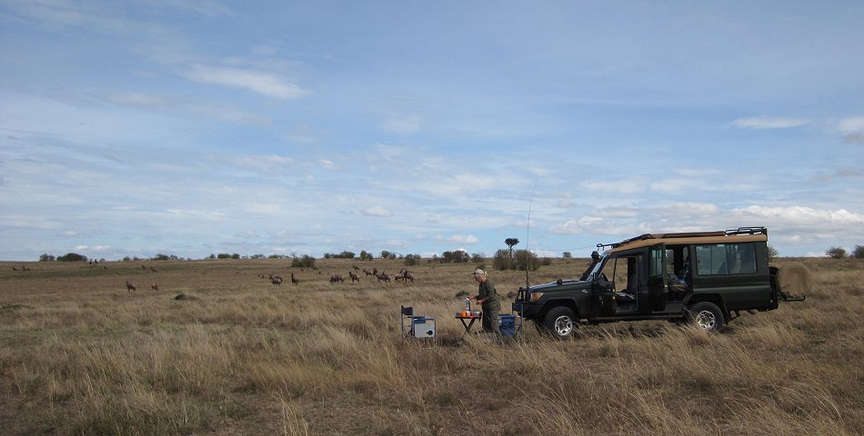 Buschfrühstück in der Masai Mara