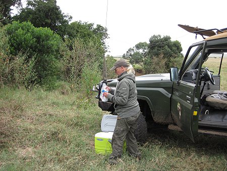 Buschfrühstück in der Masai Mara