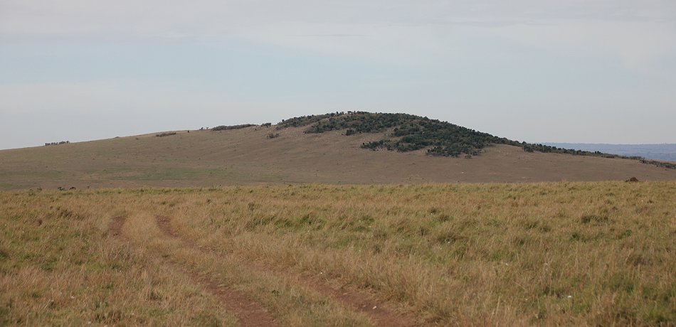 Lookout Hill, Masai Mara