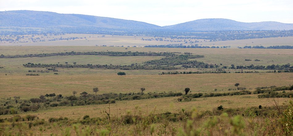 Lookout Hill, Masai Mara