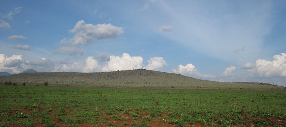 Lumo Conservancy