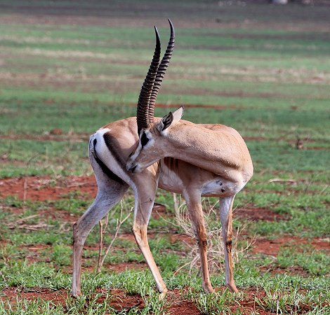 Lumo Conservancy