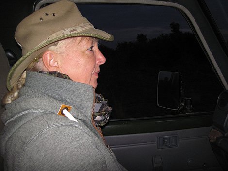 Petra Reinecke, Pirschfahrt in der Masai Mara
