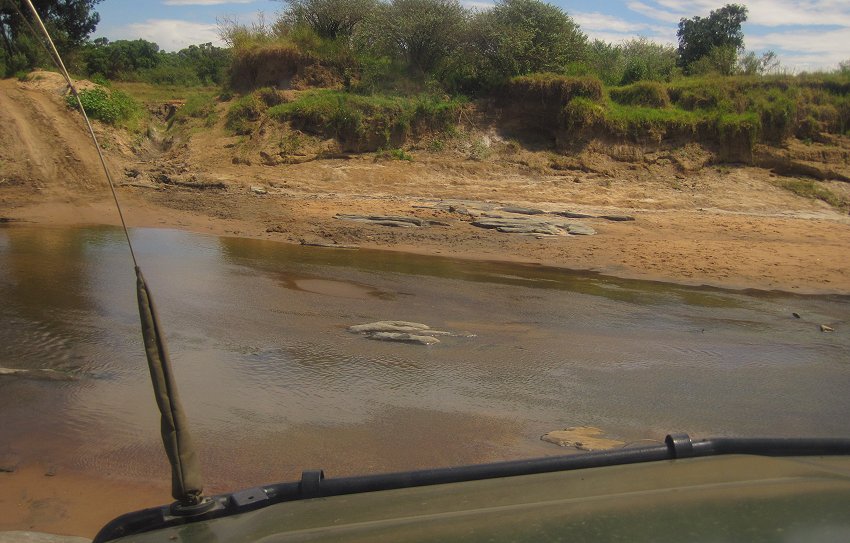 Masai Mara, Pirschfahrt