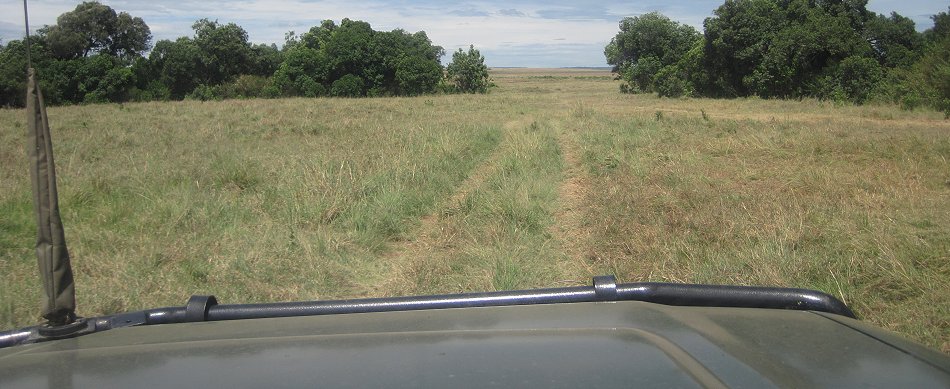 Pirschfahrt in der Masai Mara