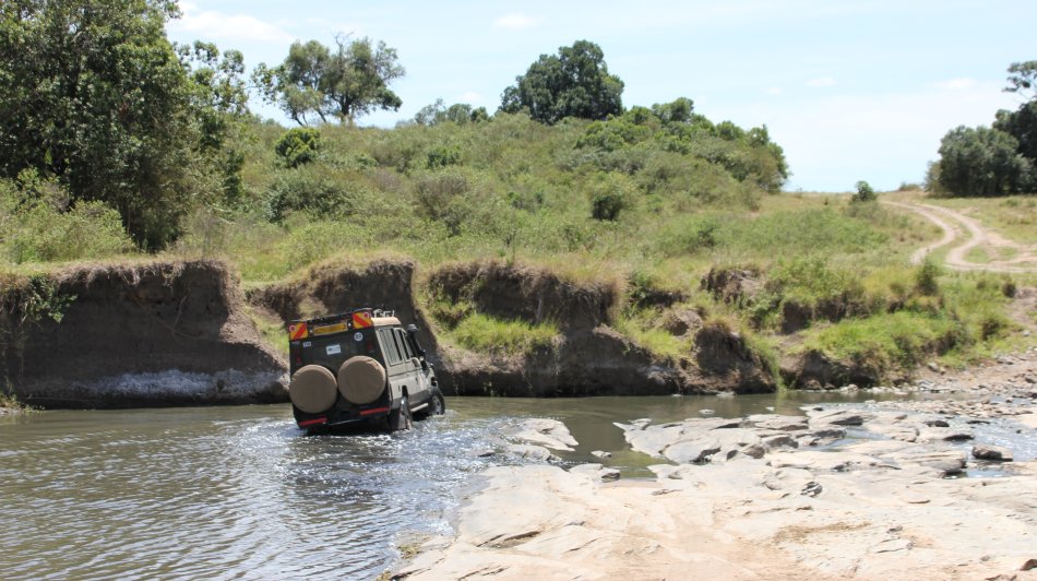 Smelling Crossing, Masai Mara