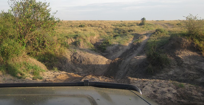 Masai Mara Game Drive