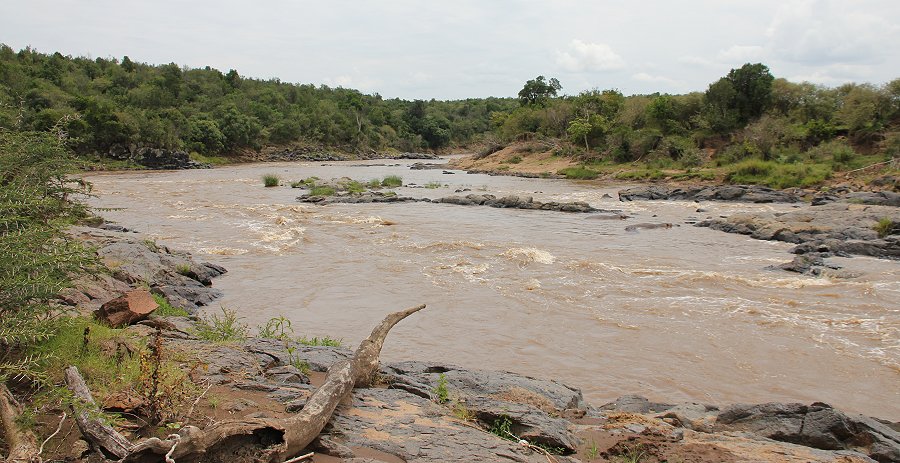 Mara Eden Safari Camp, Mara River - Masai Mara