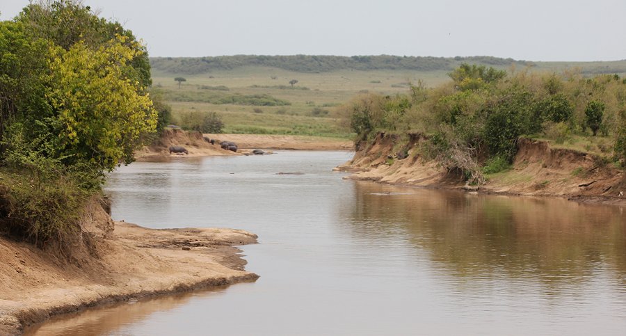 Mara Eden Safari Camp, Mara River - Masai Mara