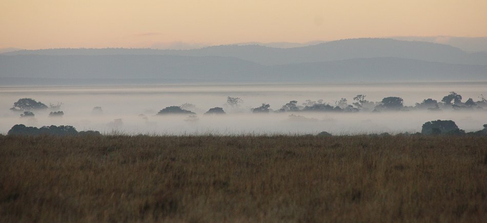 Nebel in der Masai Mara