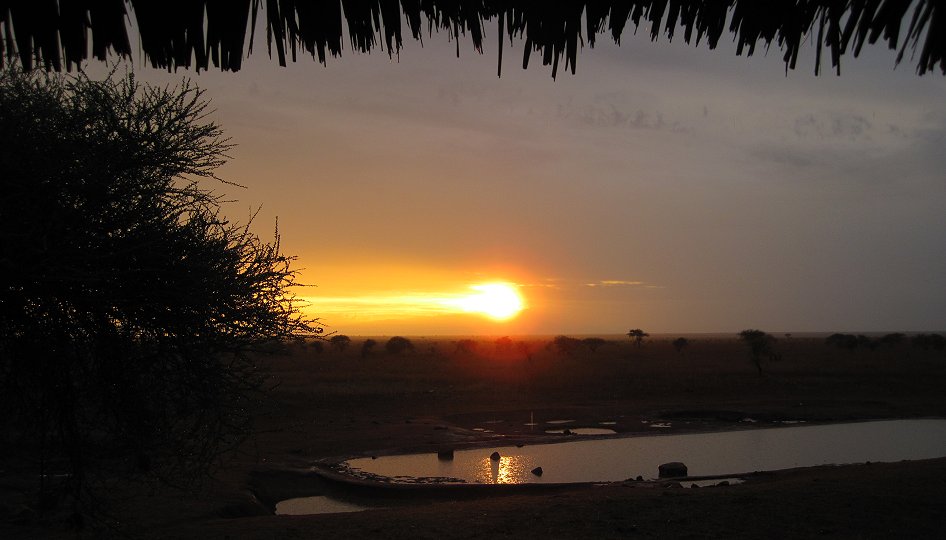 Ngutuni Lodge und Reservat