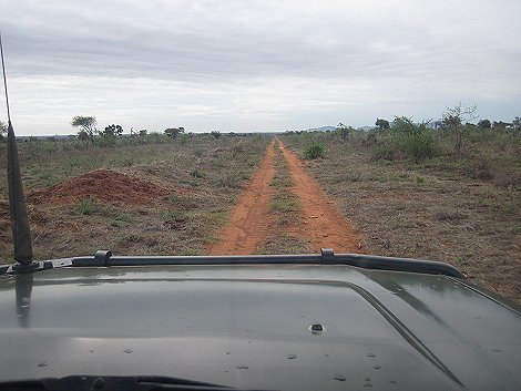 Ngutuni Lodge und Reservat