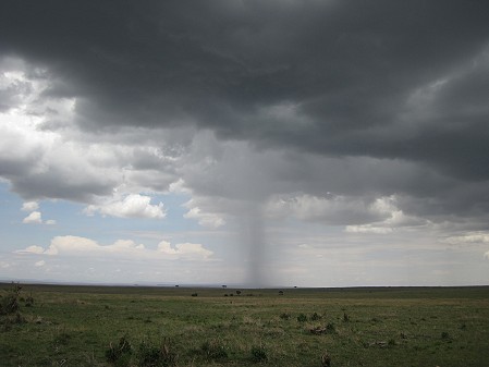 es regnet in der Masai Mara