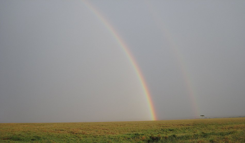 Regenbogen in der Masai Mara