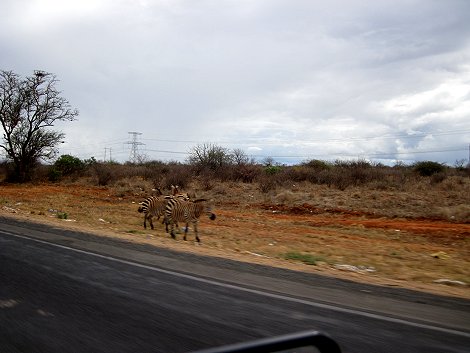 Nairobi - Mombasa highway