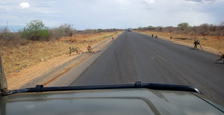 Nairobi - Mombasa highway