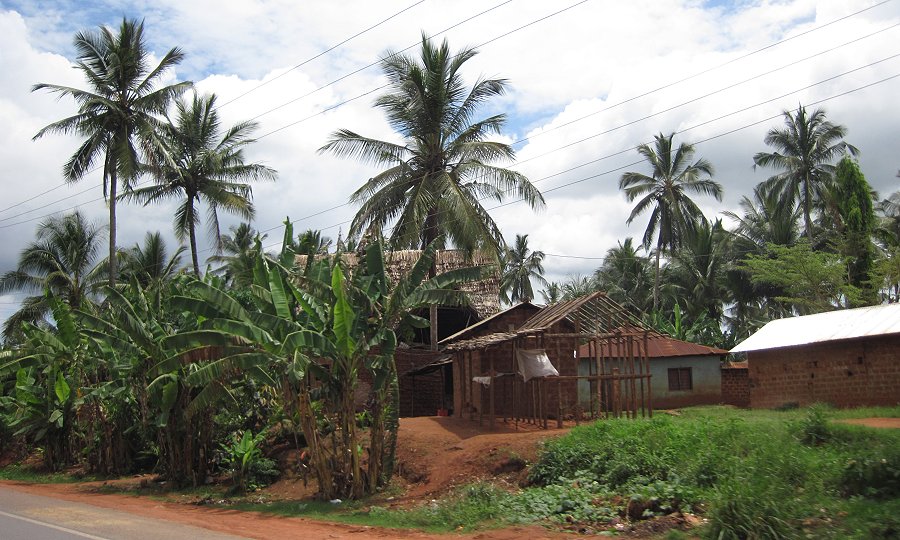 on the road to Kaloleni