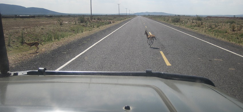 on the road to Masai Mara, Rift Valley