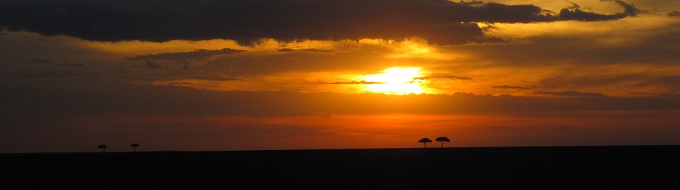 Sonnenuntergang in der maasai mara