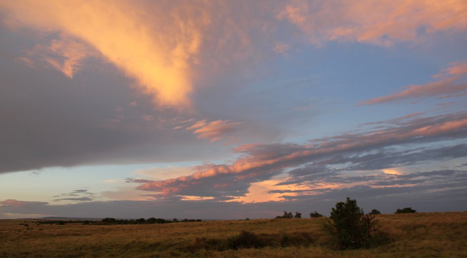 Sundowner