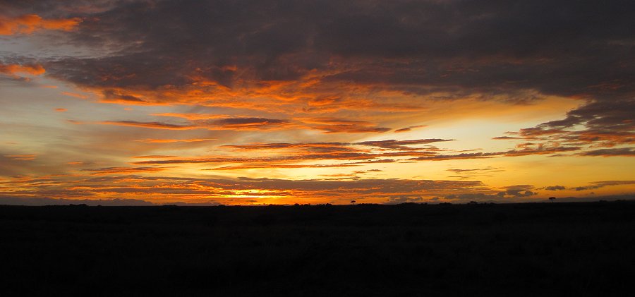 Sonnenaufgang in der Masai Mara