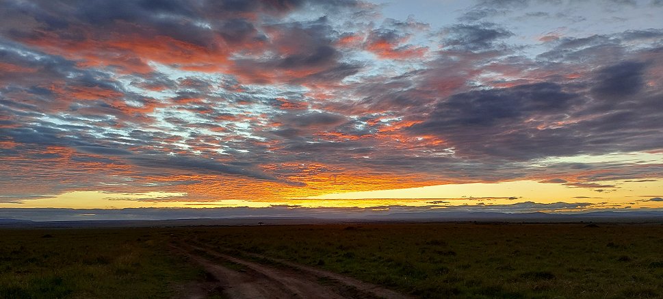 Sonnenaufgang in der Masai Mara