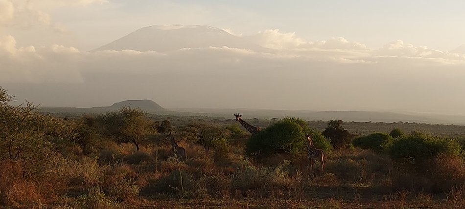 Tawi Lodge und Reservat