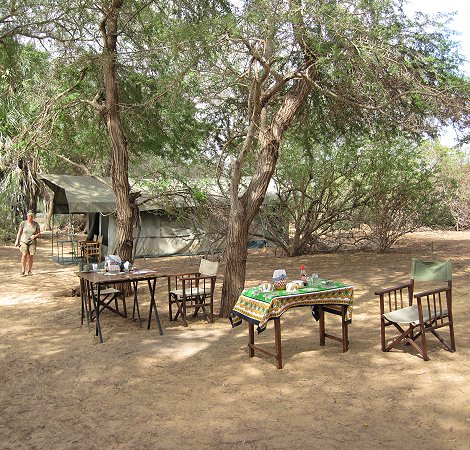 Amazing Africa Fly Camp - Galana Conservancy