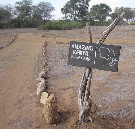 Amazin Africa Camp