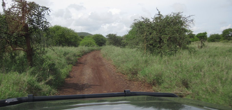 Amboseli Bush Camp, Upper Camp