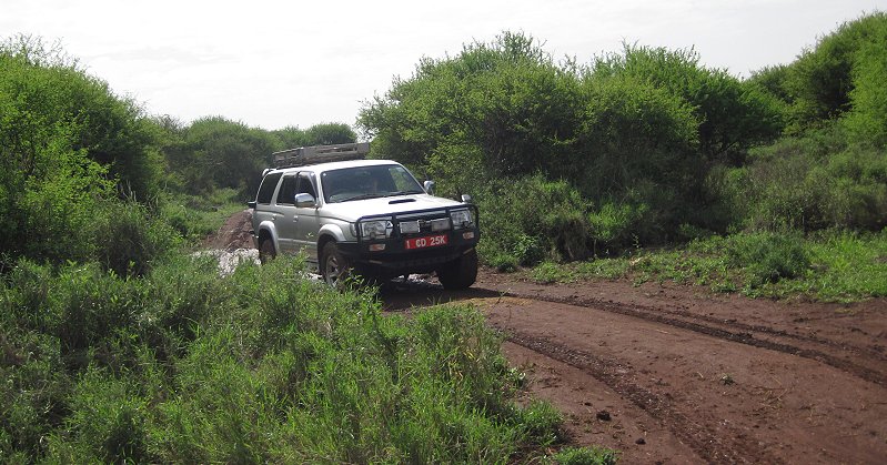 Amboseli Bush Camp