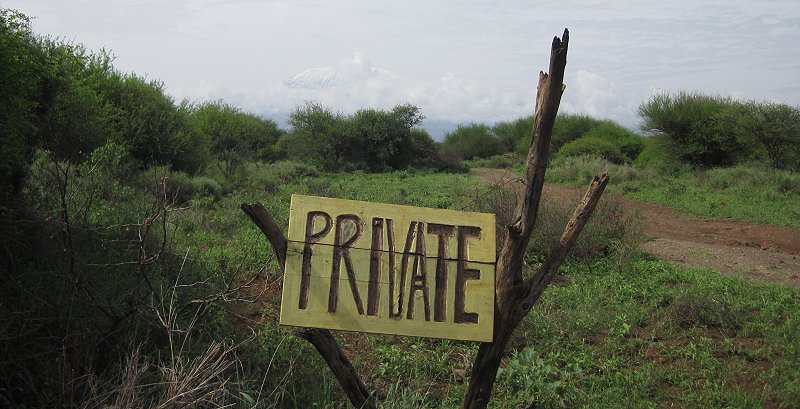 Amboseli Bush Camp