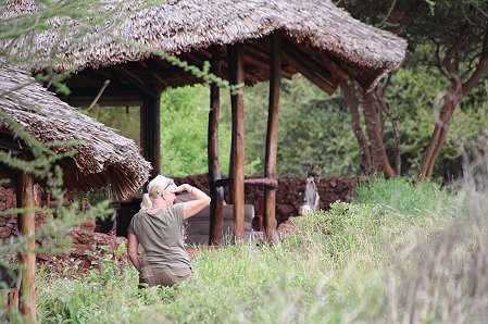 Amboseli Bush Camp, Upper Camp