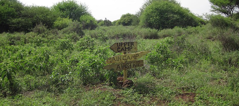Amboseli Bush Camp