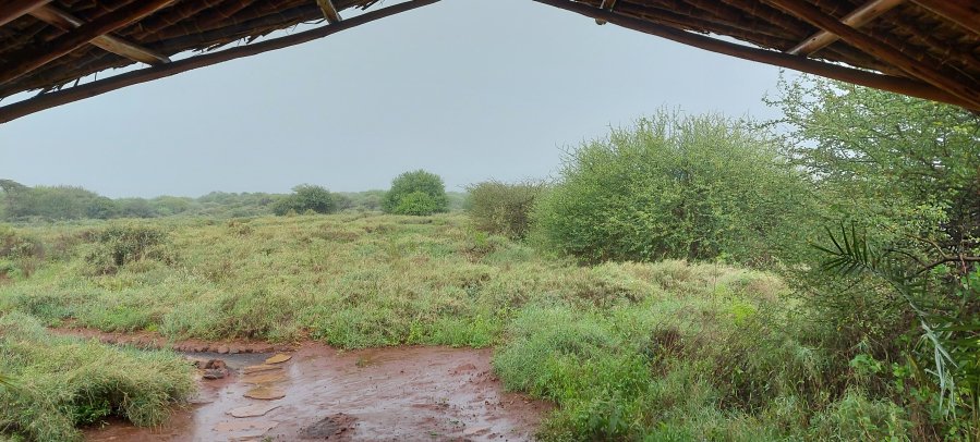 Amboseli Bush Camp